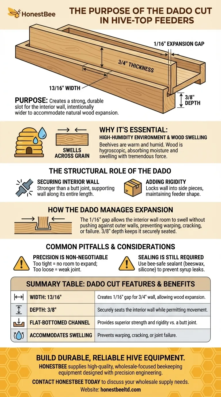 What is the purpose of the dado cut in the long sides of the hive-top feeder? Prevent Warping & Ensure Longevity Visual Guide