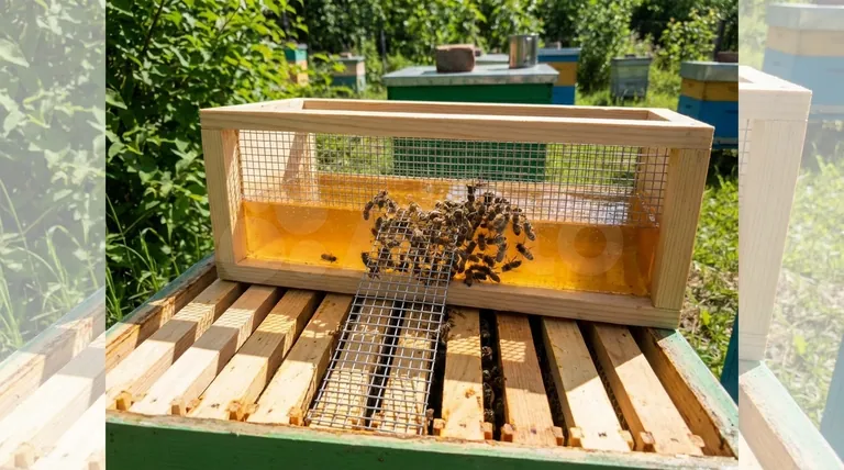 What is the purpose of the mesh ladder and barrier in the feeder box? Prevent Bee Drowning and Ensure Safe Feeding