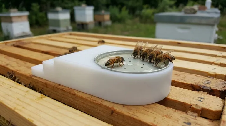 Сколько сиропа следует первоначально добавить в кормушку? Безопасный старт для вашего улья