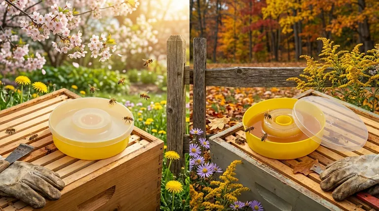 How does the feeding strategy differ between spring and fall? Optimize Your Hive's Seasonal Nutrition