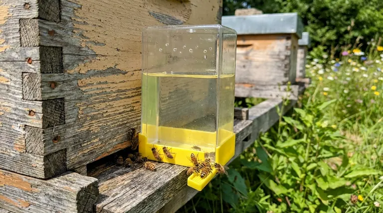 كيف تعمل طريقة التغذية عند المدخل؟ دليل لتغذية الخلية البسيطة ولكن المحفوفة بالمخاطر