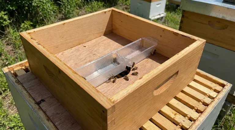 Comment fonctionne la méthode d'alimentation interne ? Protégez votre ruche contre le pillage et le froid