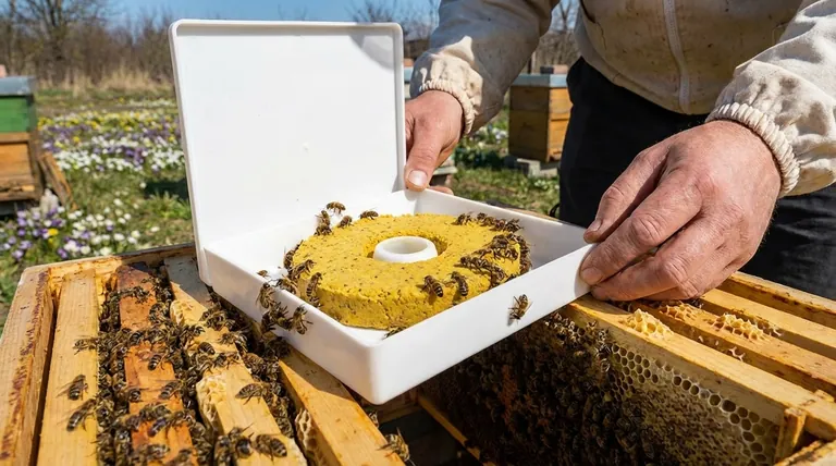 What is the purpose of pollen patties in bee feeding? Boost Your Spring Honey Harvest