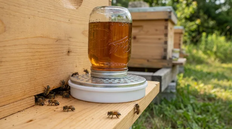 What is included with the Boardman Feeder for easy use? Essential Components for Quick Hive Feeding