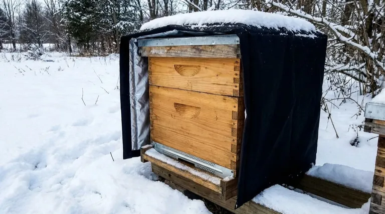 为什么蜂巢在冬季需要保温?确保您的蜜蜂存活并茁壮成长