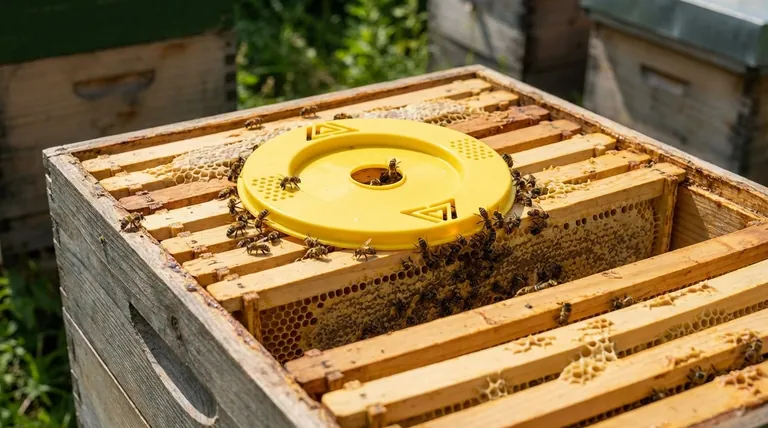 탈출판은 어떻게 작동하나요? 꿀 수확을 위한 부드럽고 벌 친화적인 방법