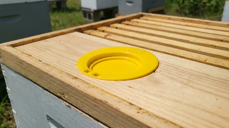 Are bee escape boards customizable? Select the Right Escape for Your Hive and Harvest Goals