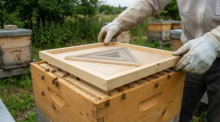 What is a Triangle Bee Escape Board used for? A Gentle, Reliable Harvesting Tool