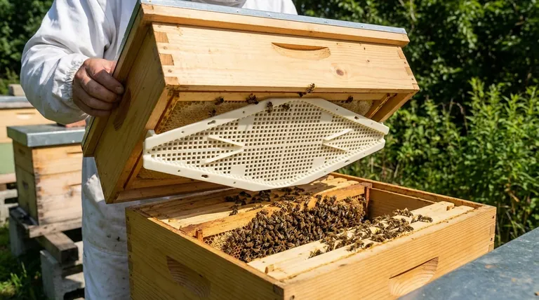 使用隔王板24小时的结果是什么?实现一个接近无蜂的取蜜箱