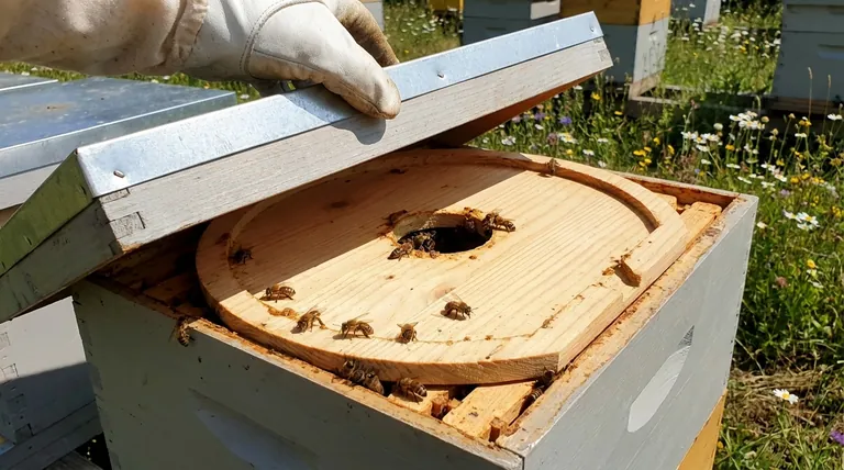 ما هو الغرض من الغطاء الداخلي في خلية النحل؟ ضروري لصحة الخلية والإدارة السهلة