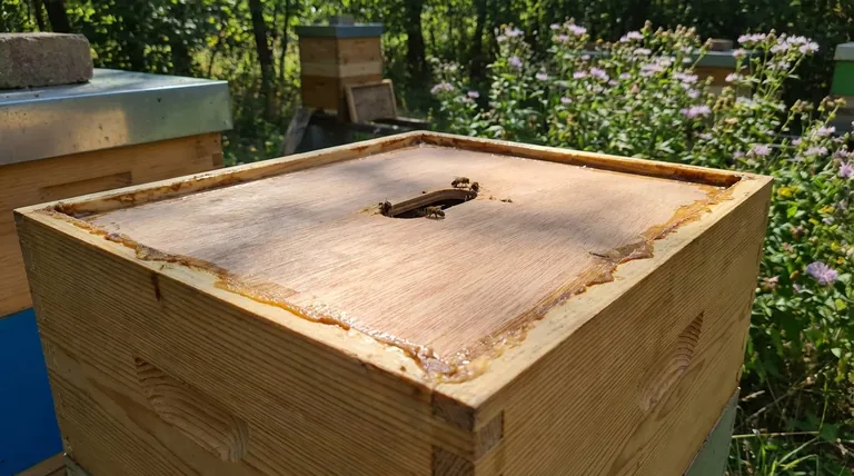 巣箱のインナーカバーを使用する利点は何ですか?巣の健康と養蜂家の効率向上のための主なメリット