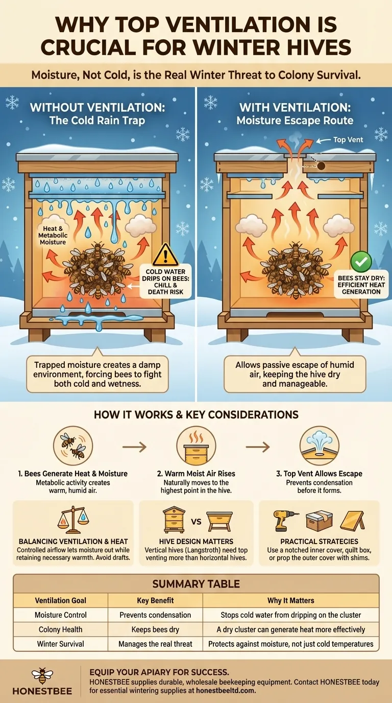 Why is ventilation important at the top of a hive in winter? Prevent Fatal Moisture Buildup Visual Guide