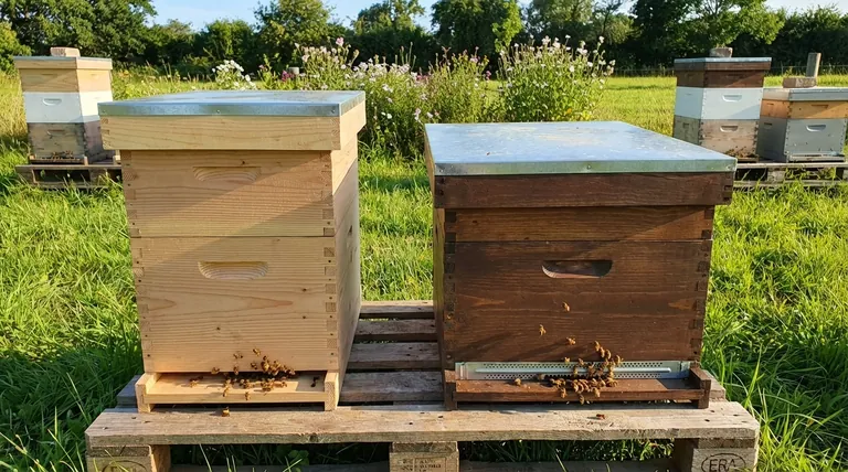 What sizes are available for the Migratory Beehive Outer Cover Lid/Roof? Choose the Right Fit for Your Hive