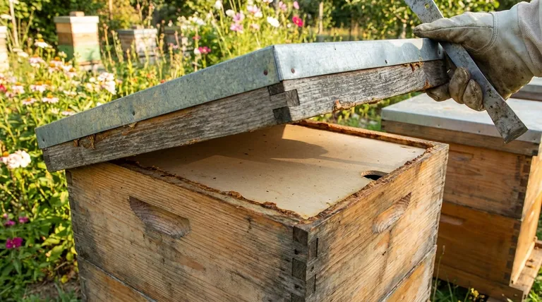 How do garden hive lids fit on beehives? Ensuring a Snug, Protective Seal for Colony Health