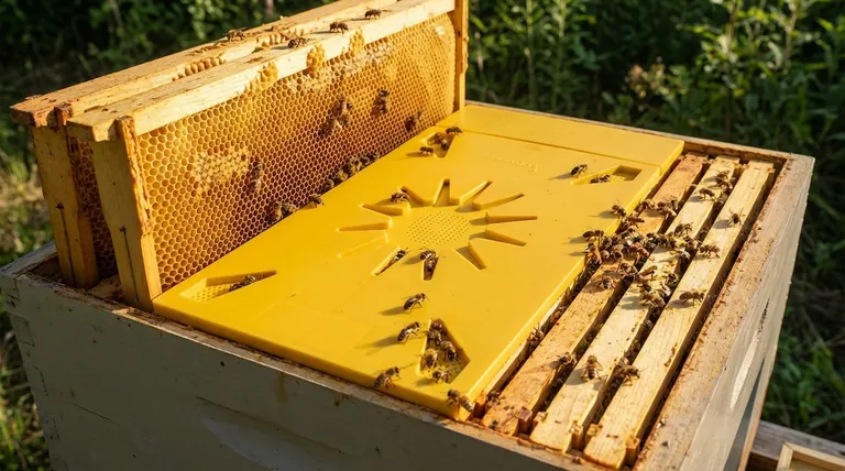 三角逃蜂板需要多长时间才能将蜜蜂从蜜房中清空?24-48小时指南