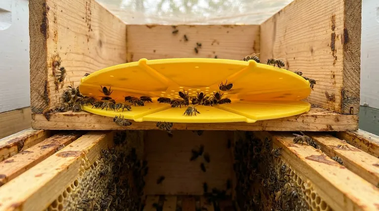 三角逃蜂板的目的是什么?实现平静、高效的蜂蜜收获