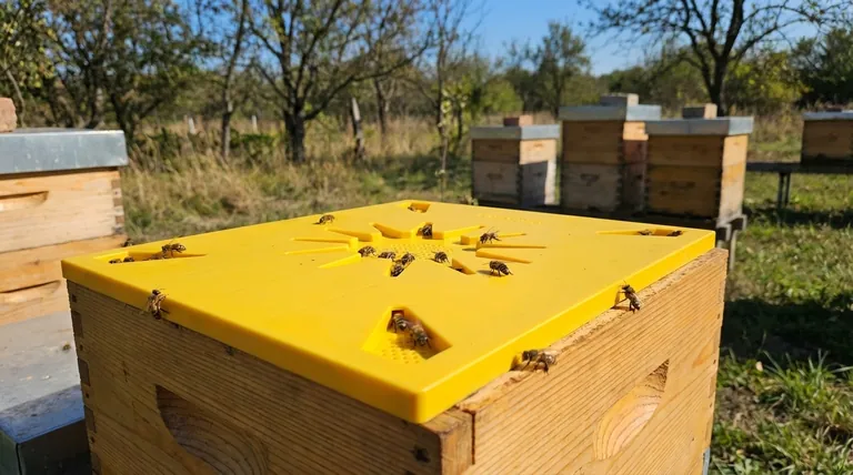 How does the design of Triangular Escape Boards work? Achieve a Stress-Free Honey Harvest