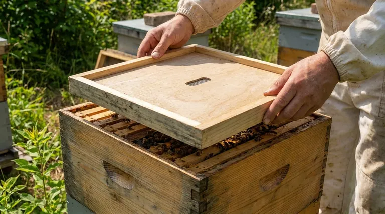 Are Triangular Escape Boards ready to use? Yes, and Here's How to Use Them Effectively