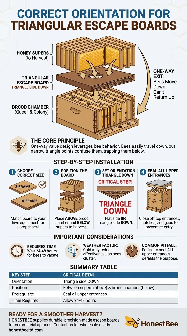 What is the correct orientation for placing Triangular Escape Boards? Ensure a Stress-Free Honey Harvest Visual Guide