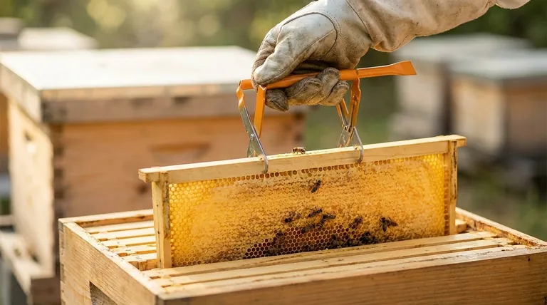 在使用取框器时,养蜂人应该优先考虑什么?确保蜂群健康和养蜂人安全