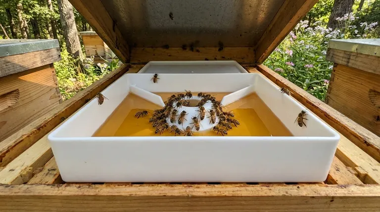 What is a feeder used for in beekeeping? Essential Nutrition Management for Colony Health