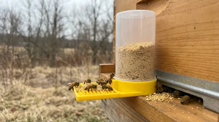 Quand la suppléance de pollen est-elle couramment donnée aux abeilles ? Améliorez la santé et la productivité de la ruche