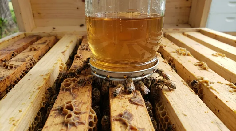Comment le sirop sucré est-il distribué aux abeilles à l'intérieur de la ruche ? Un guide des nourrisseurs internes sûrs et efficaces