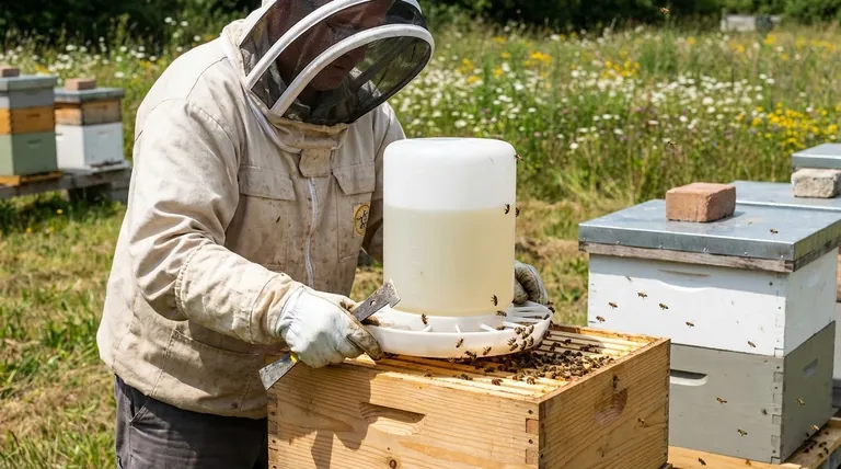 Какова цель использования кормушки для пчел? Обеспечение выживания и здоровья улья