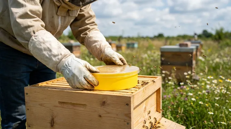 ¿Qué deben hacer los apicultores en lugar de cosechar miel de una colonia nueva? Priorizar la fortaleza de la colonia para el éxito a largo plazo