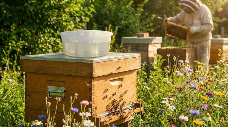 What should be done if a bee colony is not interested in supplemental feed? A Guide to Diagnosis and Action