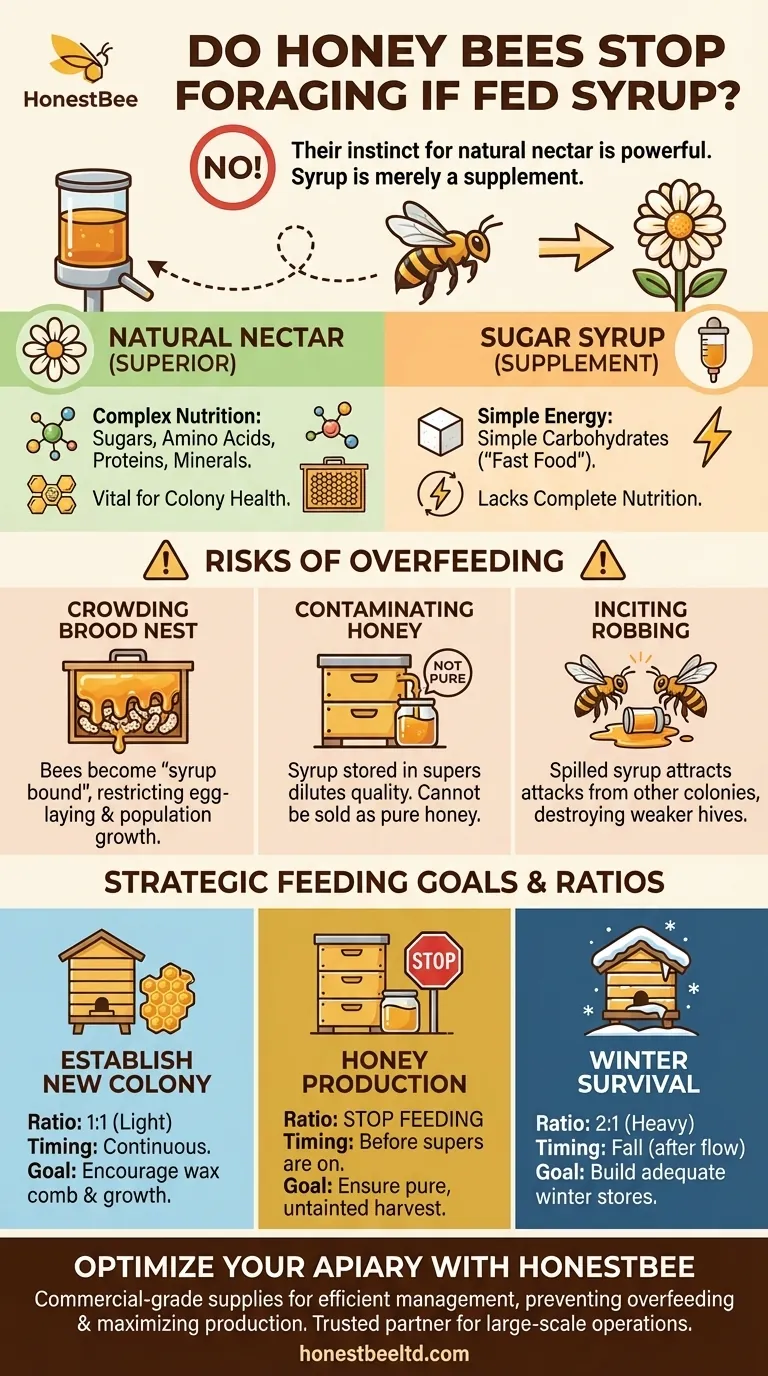 Do honey bees stop foraging if they are fed too much syrup? Understanding Bee Instincts for Better Hive Management Visual Guide