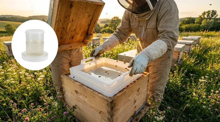 Can sugar syrup contaminate the honey crop? A Beekeeper's Guide to Protecting Honey Purity