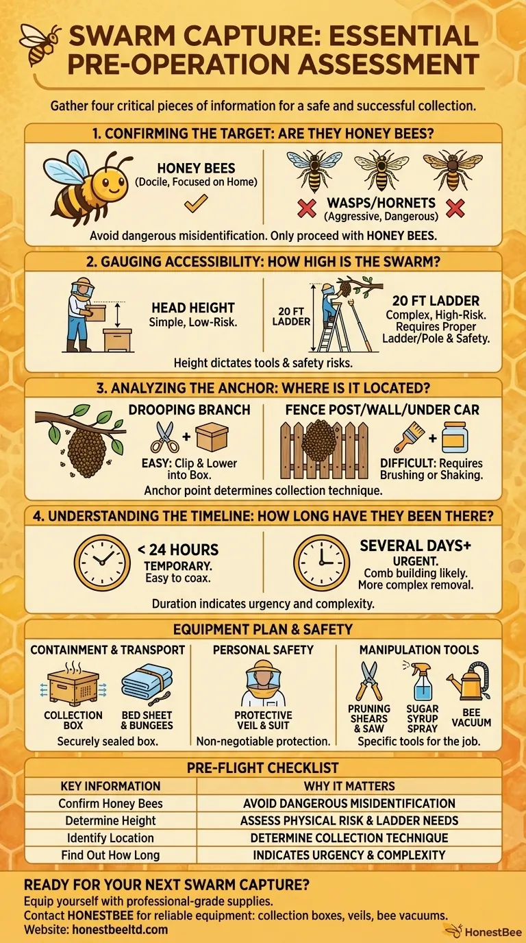 What information should be gathered before attempting to catch a swarm of bees? A Safe and Successful Guide Visual Guide