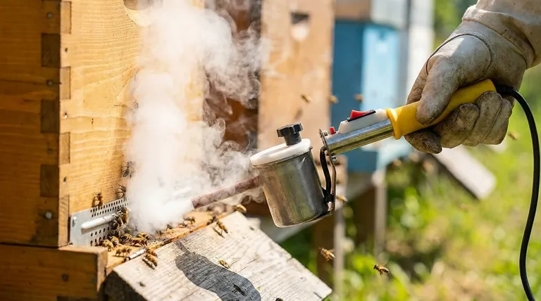 Why is oxalic acid not used in summer? Timing is critical for effective Varroa mite control.