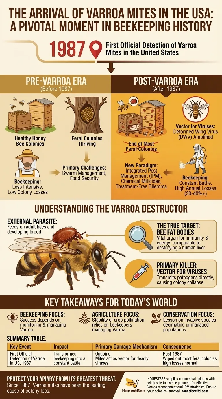 When did Varroa infested colonies enter the United States? The 1987 Event That Changed Beekeeping Forever Visual Guide