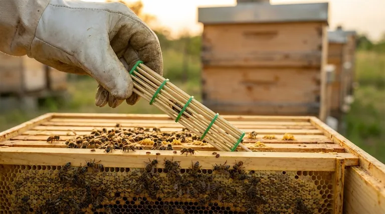 When did Varroa infested colonies enter the United States? The 1987 Event That Changed Beekeeping Forever