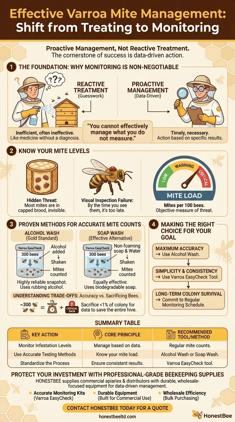 What should beekeepers do to manage varroa mites effectively? Adopt a Proactive Monitoring Strategy Visual Guide