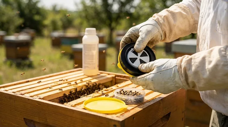 What should beekeepers do to manage varroa mites effectively? Adopt a Proactive Monitoring Strategy