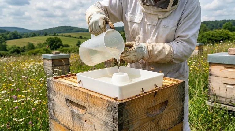 What are the purposes of feeding sugar syrup to bee colonies? Essential Management for Healthy Hives