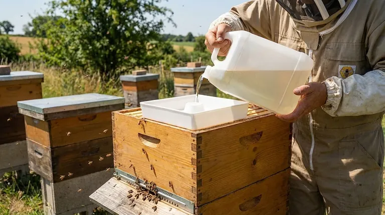 Каковы преимущества использования верхнего кормушки большой емкости? Максимизируйте эффективность вашей пасеки