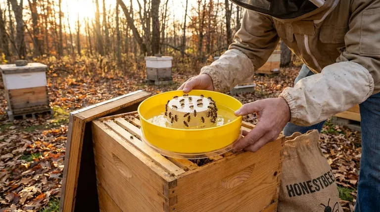 Why is rapid consumption of syrup important during the fall? A Beekeeper's Guide to Timely Winter Prep