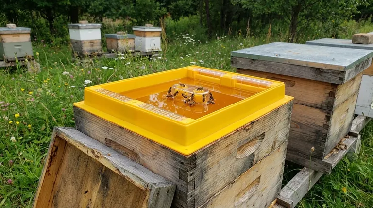 How does the design of top feeders compare to gravity or frame feeders in terms of filling and refilling? Uncover the Fastest, Safest Method