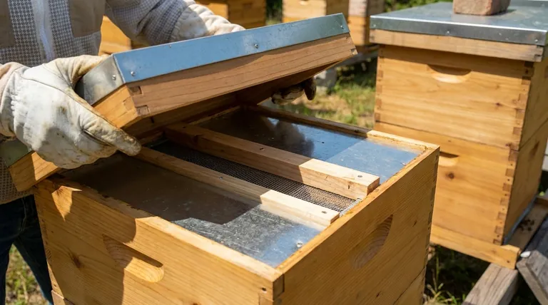 What should be inspected before using a top feeder? Ensure Bee Safety and Feeding Success