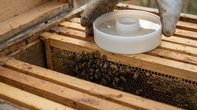 What happens if a bee colony runs out of stored honey? Prevent Catastrophic Starvation