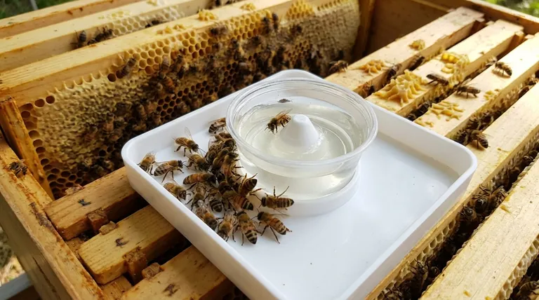 What precautions should be taken when feeding bees honey? Essential Safety Rules for Healthy Hives