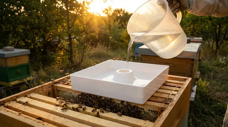 When is the best time to feed bees sugar syrup or dry sugar? Optimize Your Feeding Strategy for Colony Health