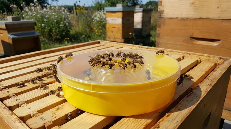 What do bees typically do with syrup from a feeder? A Guide to Strategic Bee Colony Support