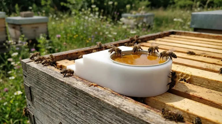 How quickly does a medium to strong colony usually empty a feeder? A Beekeeper's Guide to Hive Health
