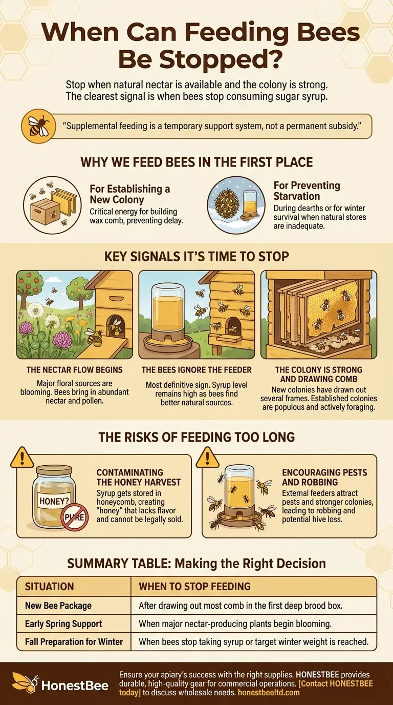 When can feeding bees be stopped? Read the Signs for a Thriving Hive Visual Guide