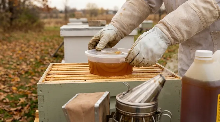 Что делать с пчелиными семьями, у которых недостаточно запасов на зиму? Предотвратите голод своевременным кормлением